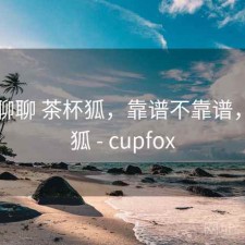 随便聊聊 茶杯狐，靠谱不靠谱，茶杯狐 - cupfox