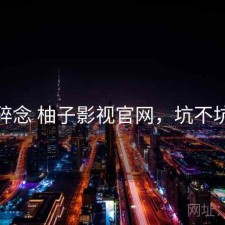 碎念 柚子影视官网，坑不坑