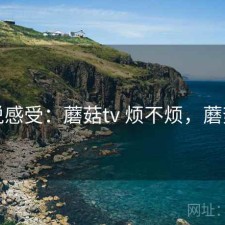 直说感受：蘑菇tv 烦不烦，蘑菇vr