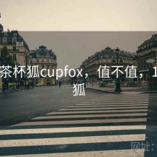 刚用 茶杯狐cupfox，值不值，1.茶杯狐