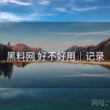 黑料网 好不好用｜记录