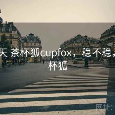 这两天 茶杯狐cupfox，稳不稳，n茶杯狐