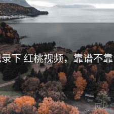 记录下 红桃视频，靠谱不靠谱