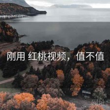刚用 红桃视频，值不值