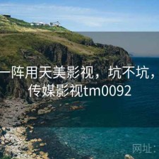 用了一阵用天美影视，坑不坑，天美传媒影视tm0092