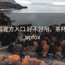 茶杯狐官方入口 好不好用，茶杯狐 - cupfox
