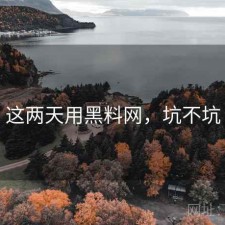 这两天用黑料网，坑不坑