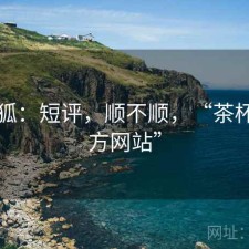茶杯狐：短评，顺不顺，“茶杯狐官方网站”