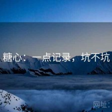 糖心：一点记录，坑不坑