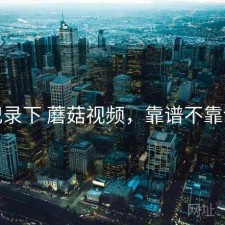 记录下 蘑菇视频，靠谱不靠谱