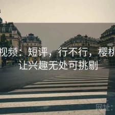 樱桃视频：短评，行不行，樱桃视频让兴趣无处可挑剔