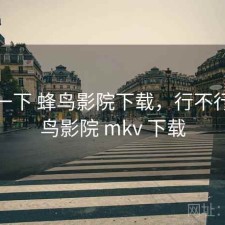 体验一下 蜂鸟影院下载，行不行，蜂鸟影院 mkv 下载
