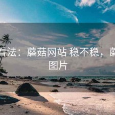 个人看法：蘑菇网站 稳不稳，蘑菇网图片