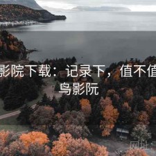 蜂鸟影院下载：记录下，值不值，蜂鸟影阮
