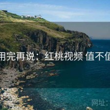 用完再说：红桃视频 值不值