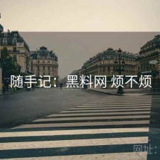 随手记：黑料网 烦不烦