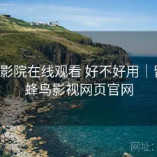蜂鸟影院在线观看 好不好用｜留档，蜂鸟影视网页官网