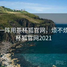 用了一阵用茶杯狐官网，烦不烦，茶杯狐官网2021