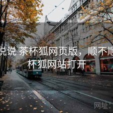 简单说说 茶杯狐网页版，顺不顺，茶杯狐网站打开