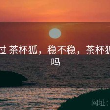 对比过 茶杯狐，稳不稳，茶杯狐好用吗