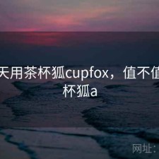 这两天用茶杯狐cupfox，值不值，茶杯狐a